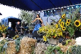 Zdjęcie:  style=